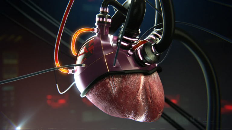 3be7cf69946625.5b9276ce5993f